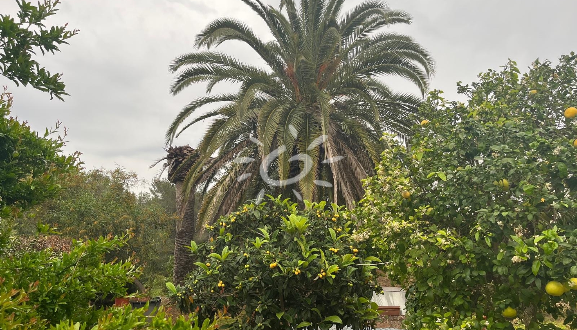 Reventas - Villas - Chalets - Jávea / Xàbia - Cap Martí - El Tossalet - Pinomar