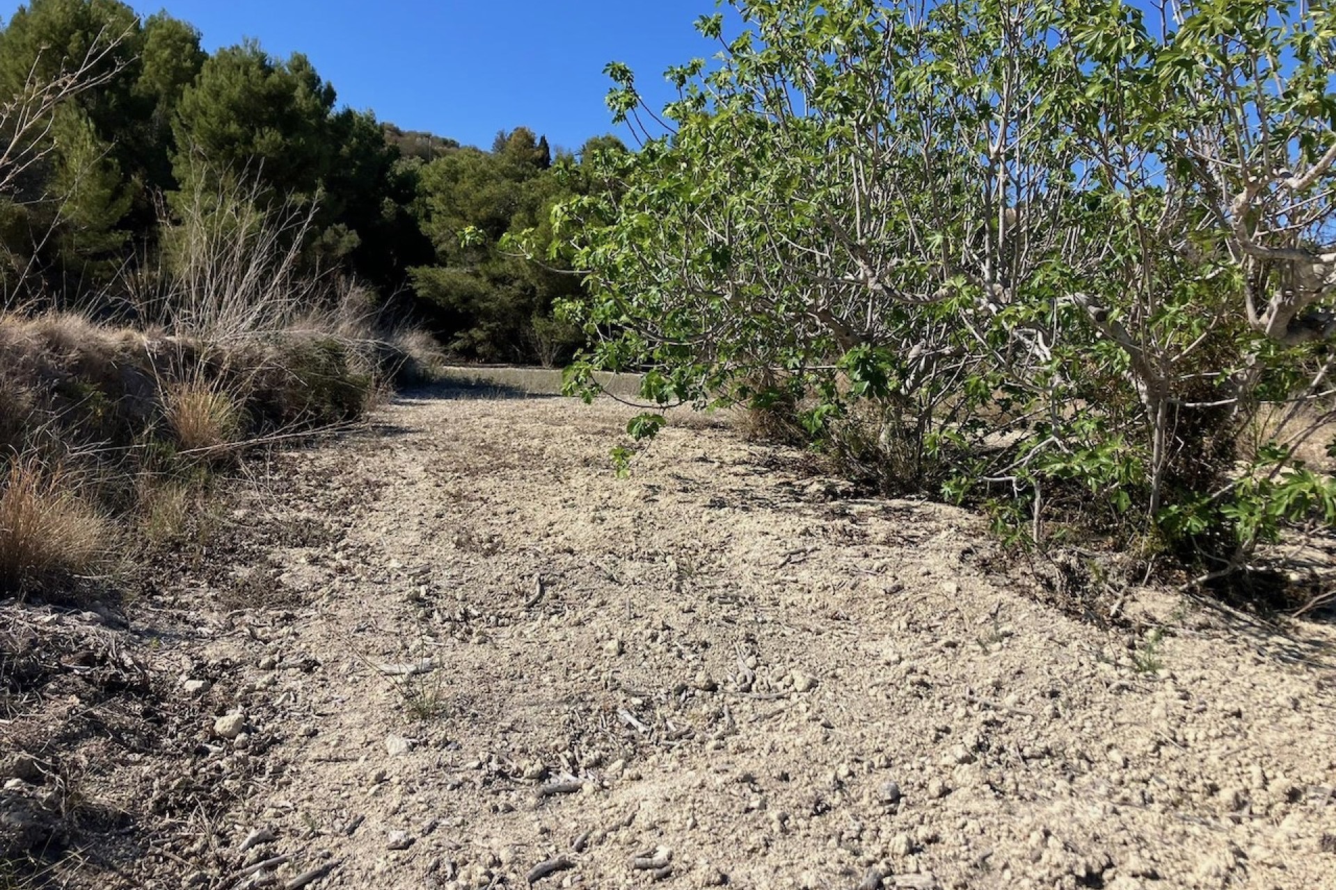 Reventas - Parcelas y Terrenos - Benissa