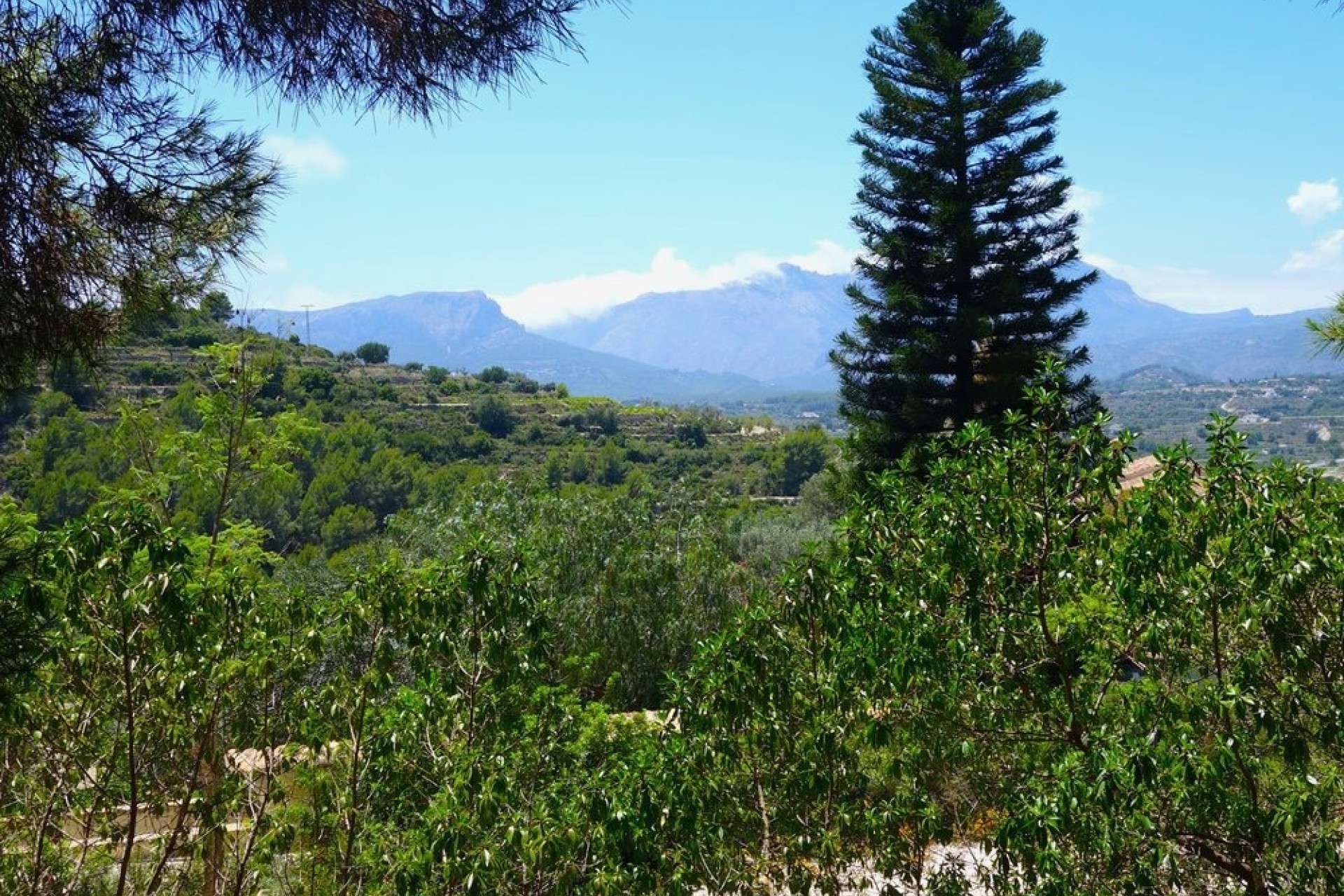 Reventes - Maisons de Campagne - Fincas - Benissa - Partida Llenes
