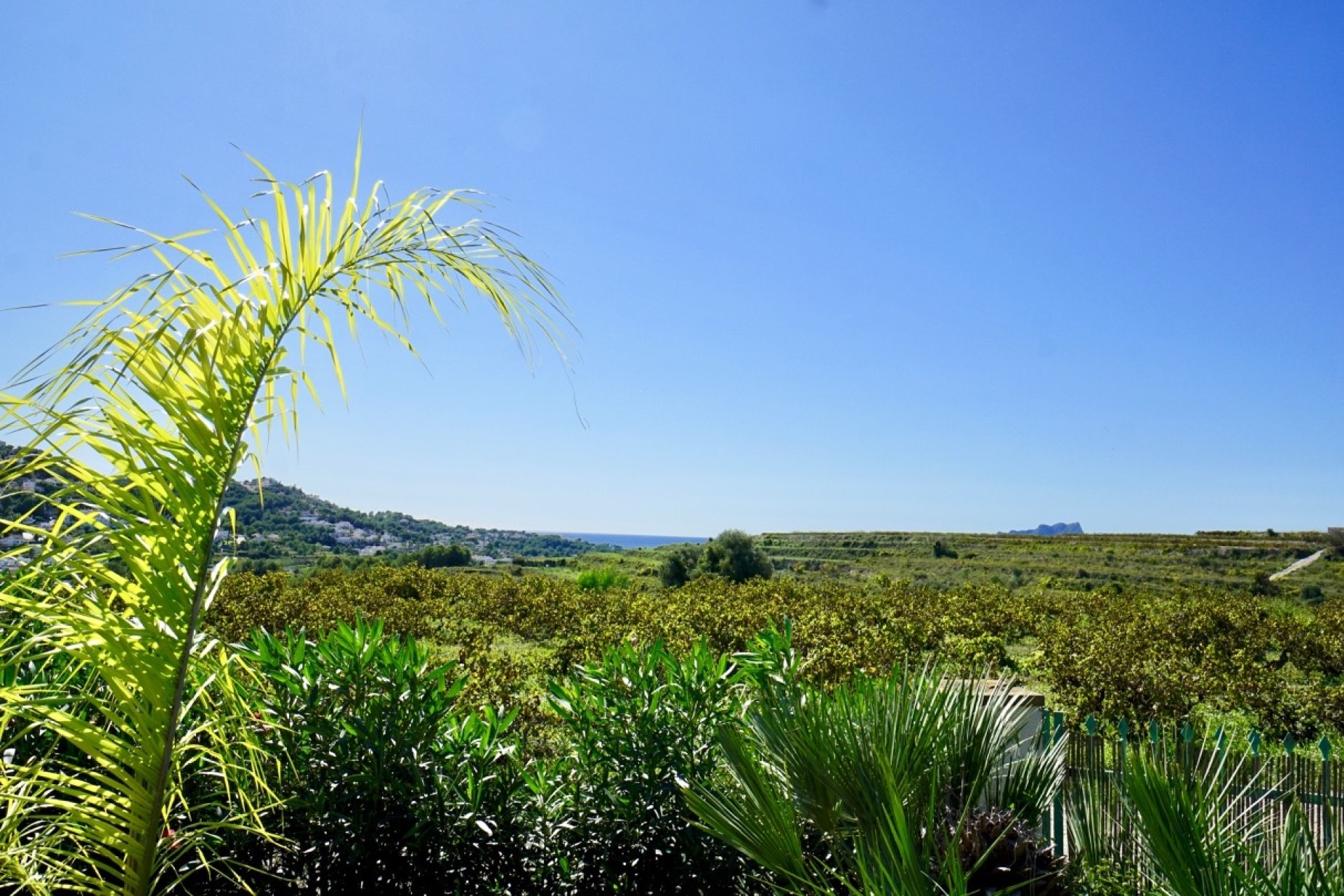 Reventes - Maisons de Campagne - Fincas - Teulada - campo