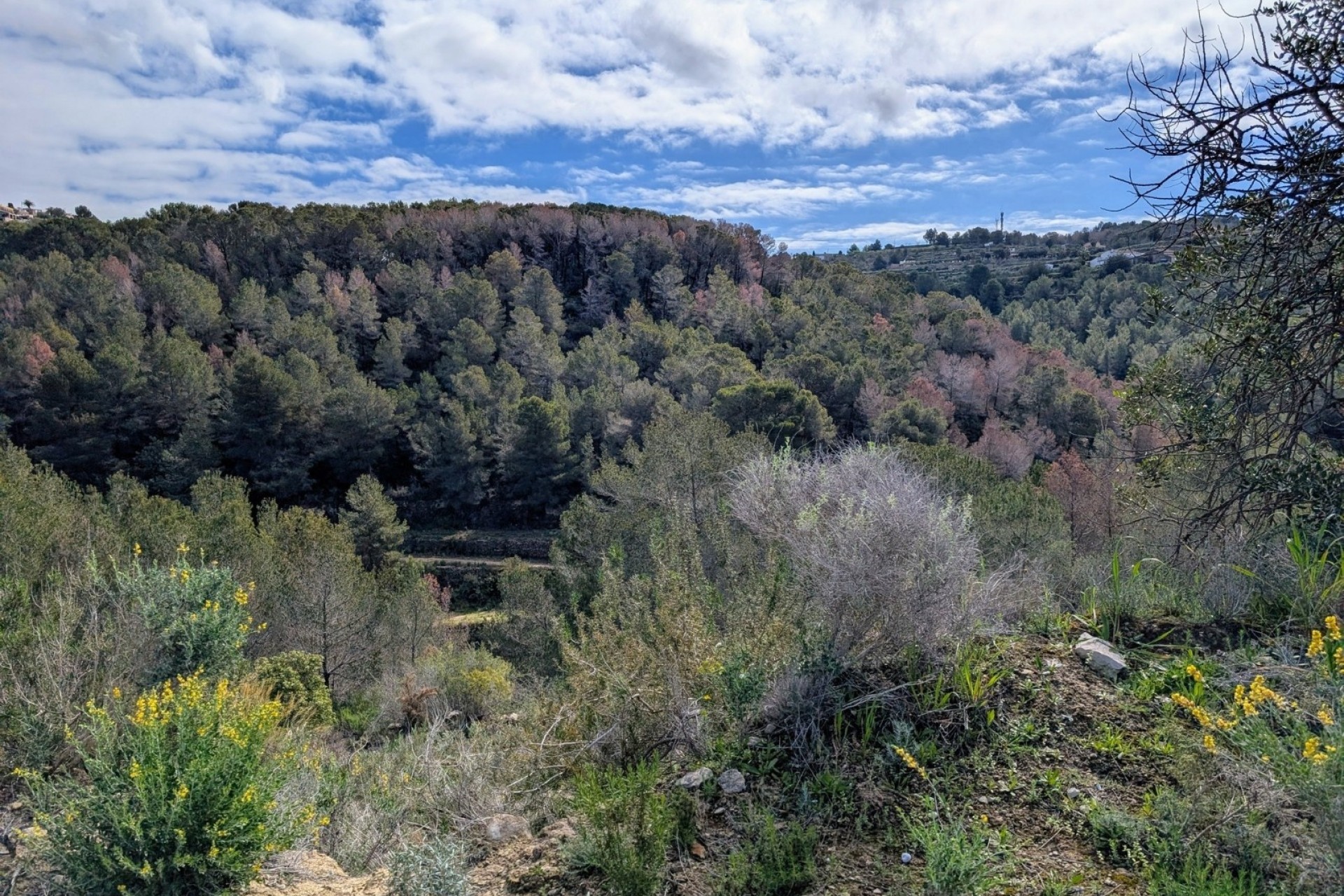 Reventes - Propriétés et Terrains constructibles - Benissa - Partida Biasner