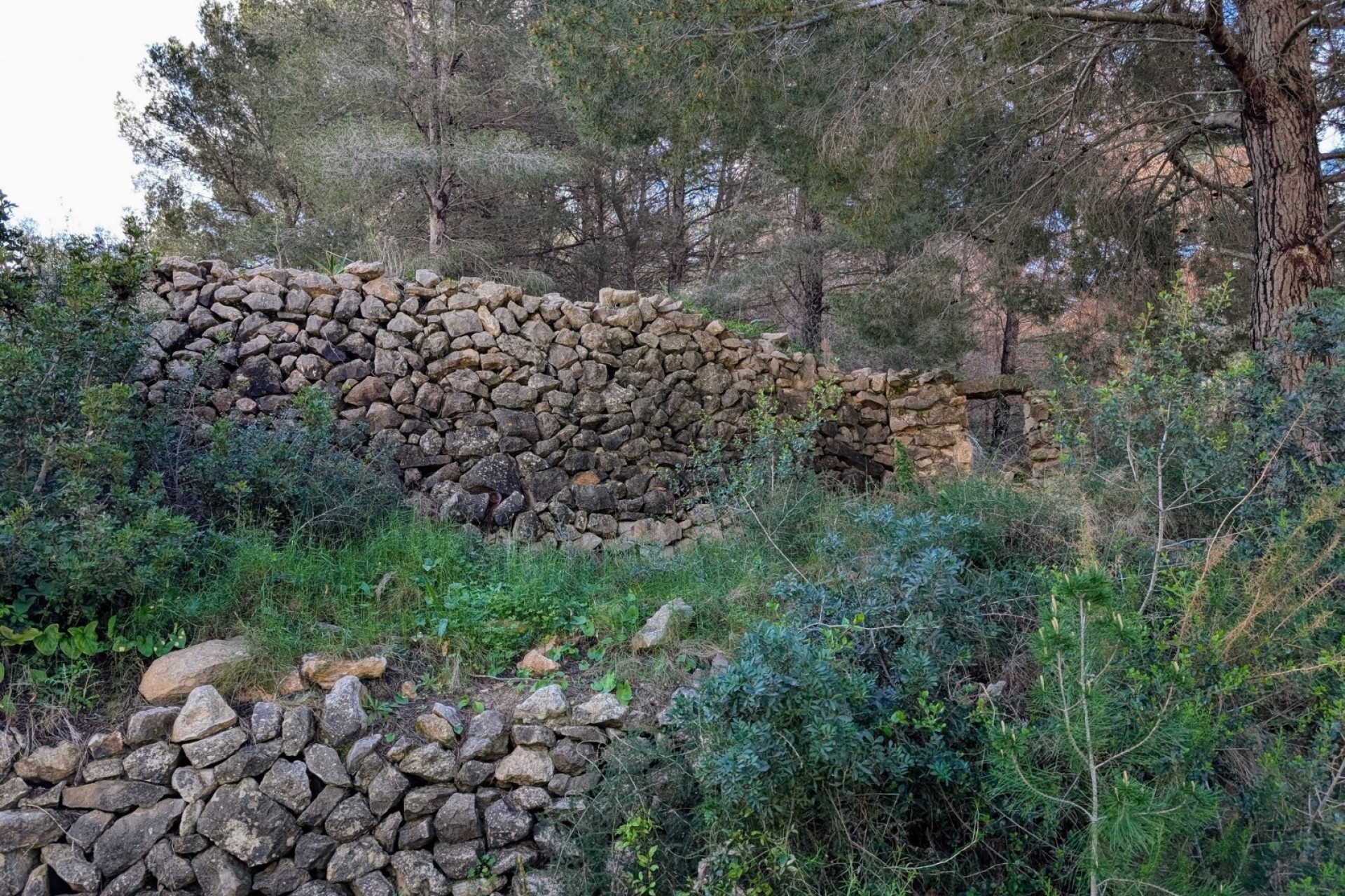 Reventes - Propriétés et Terrains constructibles - Benissa - Partida Biasner