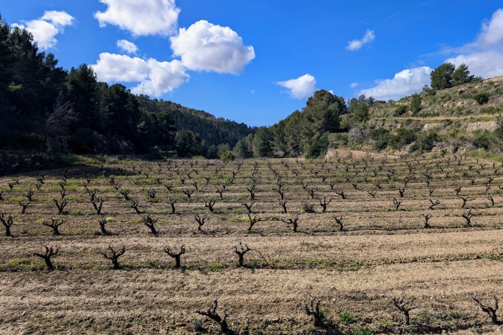 Reventes - Propriétés et Terrains constructibles - Benissa - Partida Biasner