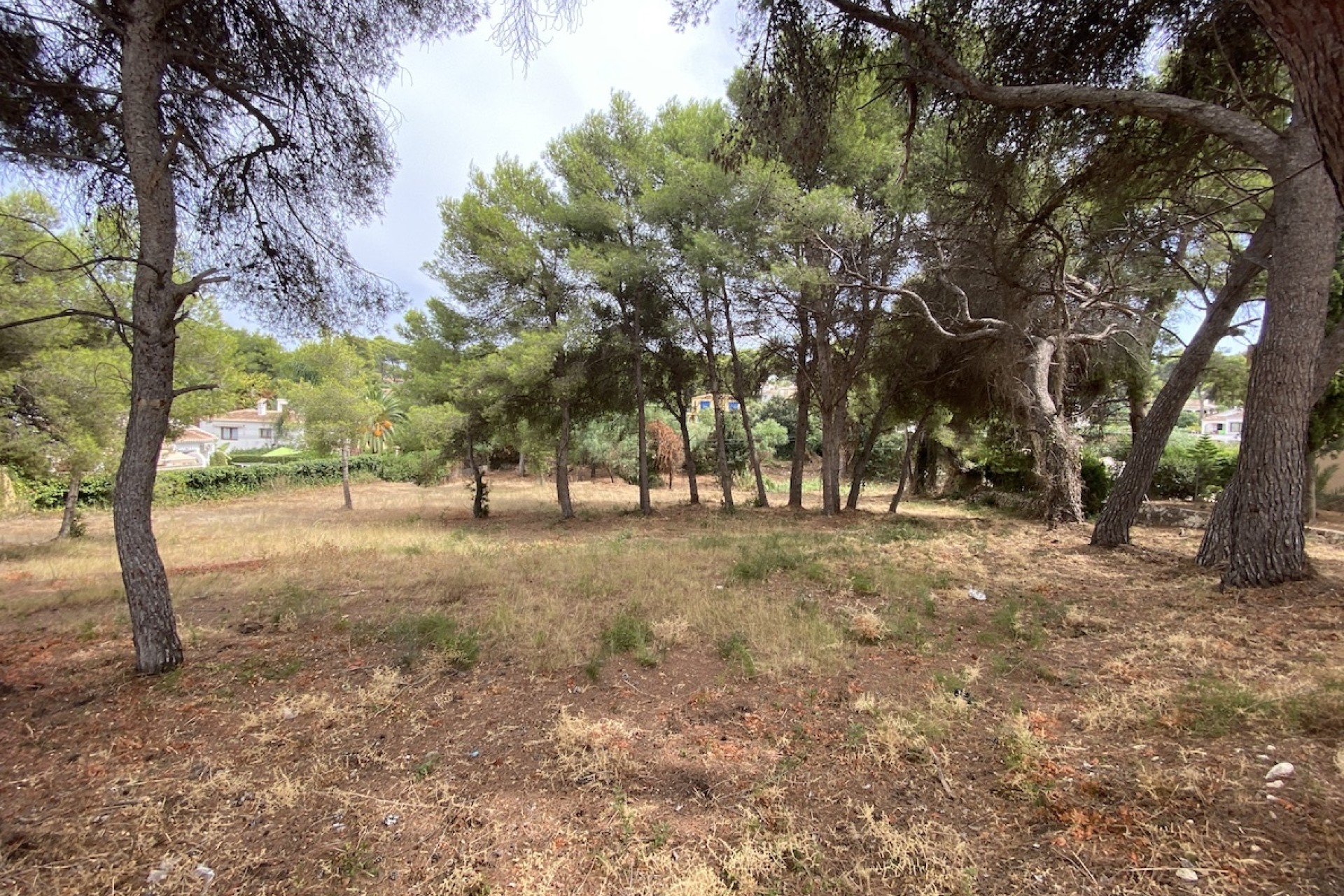 Reventes - Propriétés et Terrains constructibles - Javea
