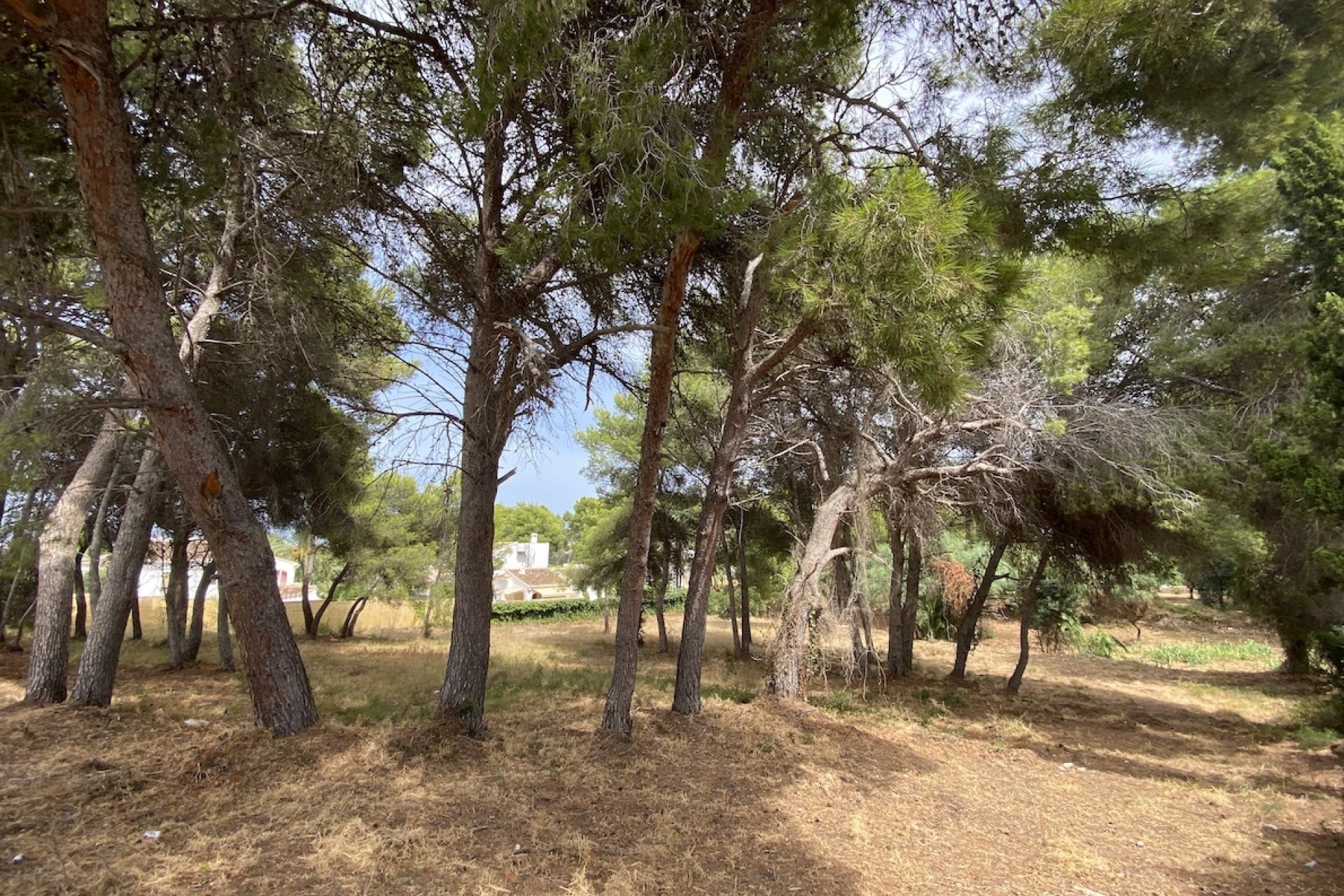 Reventes - Propriétés et Terrains constructibles - Javea