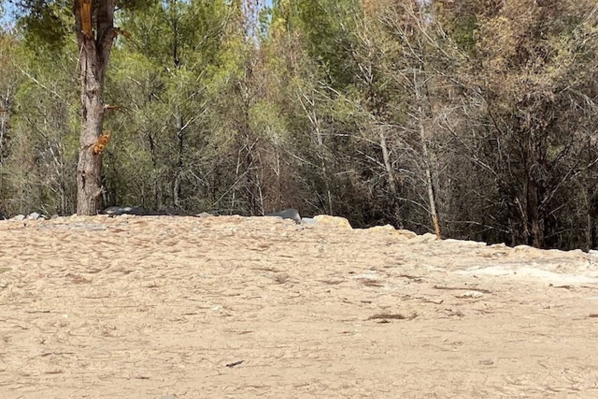 Reventes - Propriétés et Terrains constructibles - Moraira - Benimeit