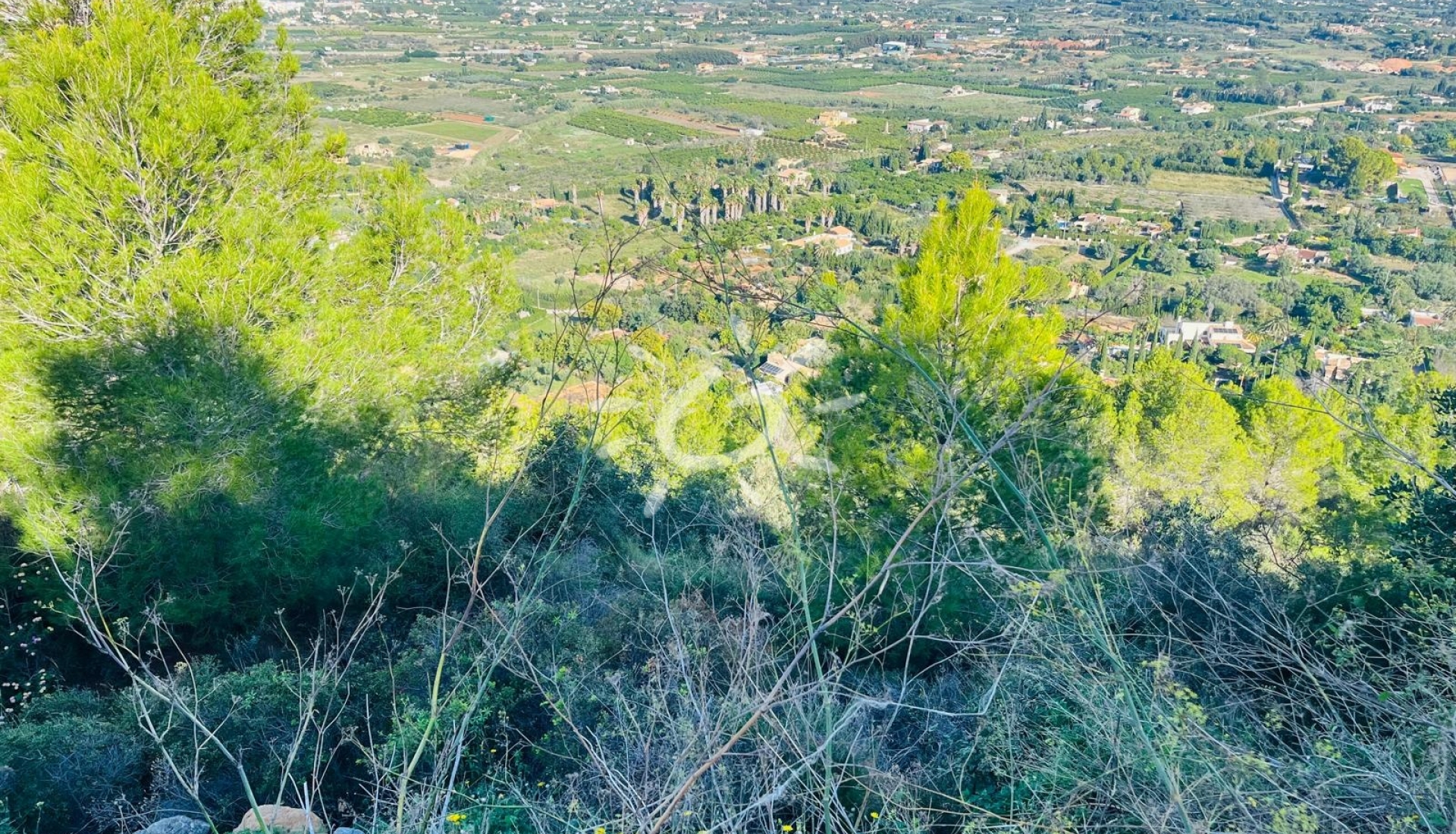 Reventes - Propriétés et Terrains constructibles - Pedreguer