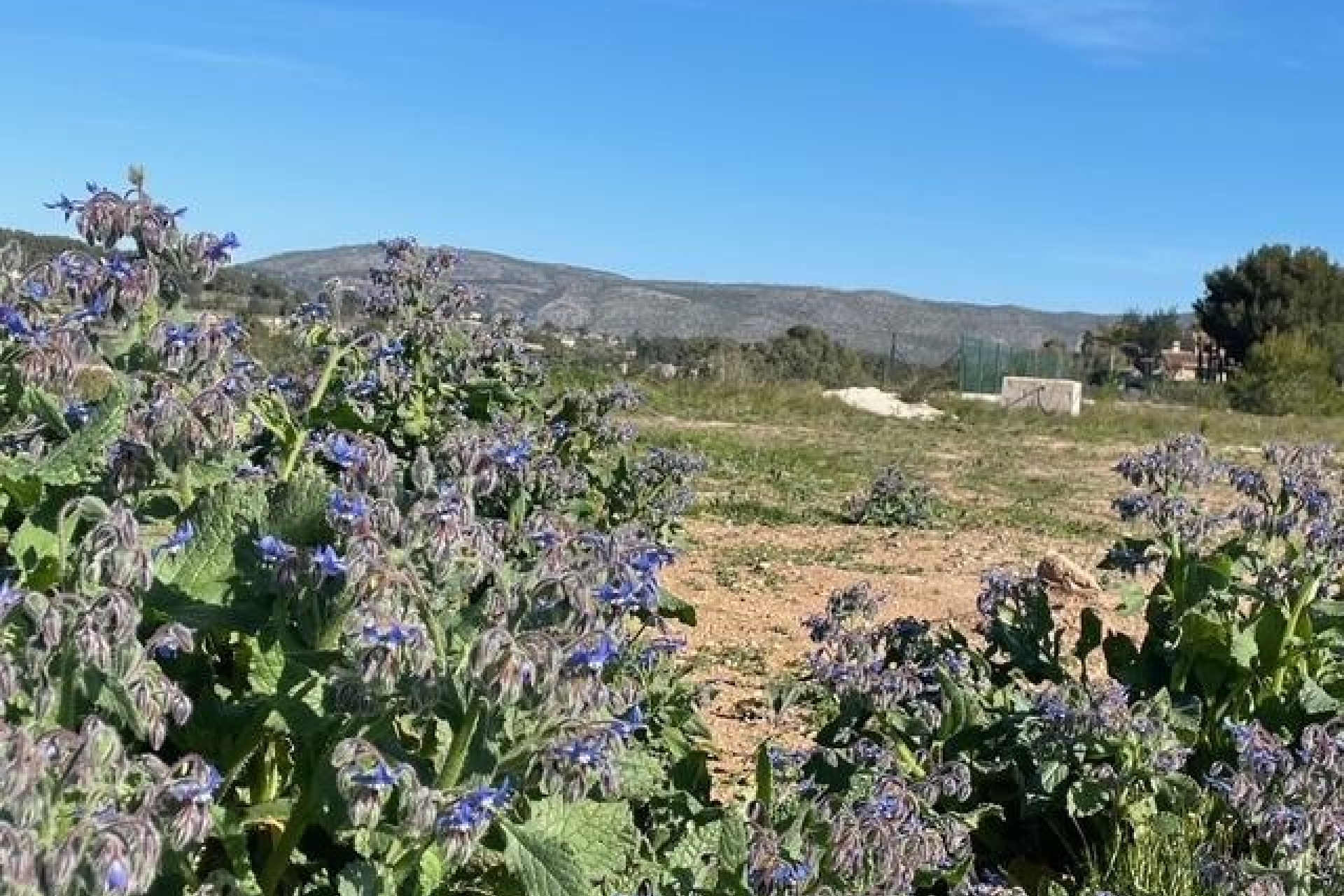 Reventes - Propriétés et Terrains constructibles - Teulada - Teulada Centre