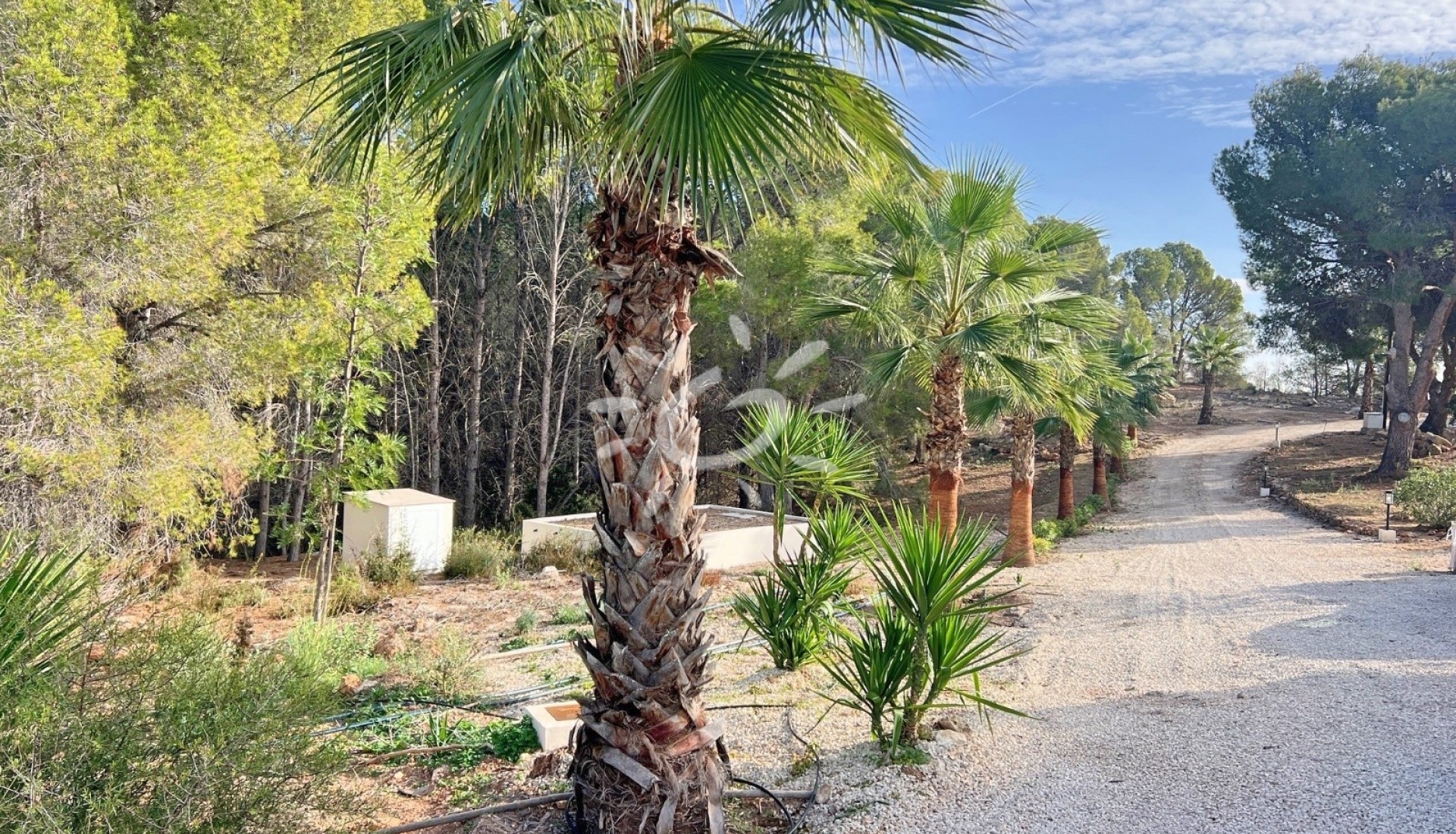 Reventes - Villas - Altea - Altea ciudad