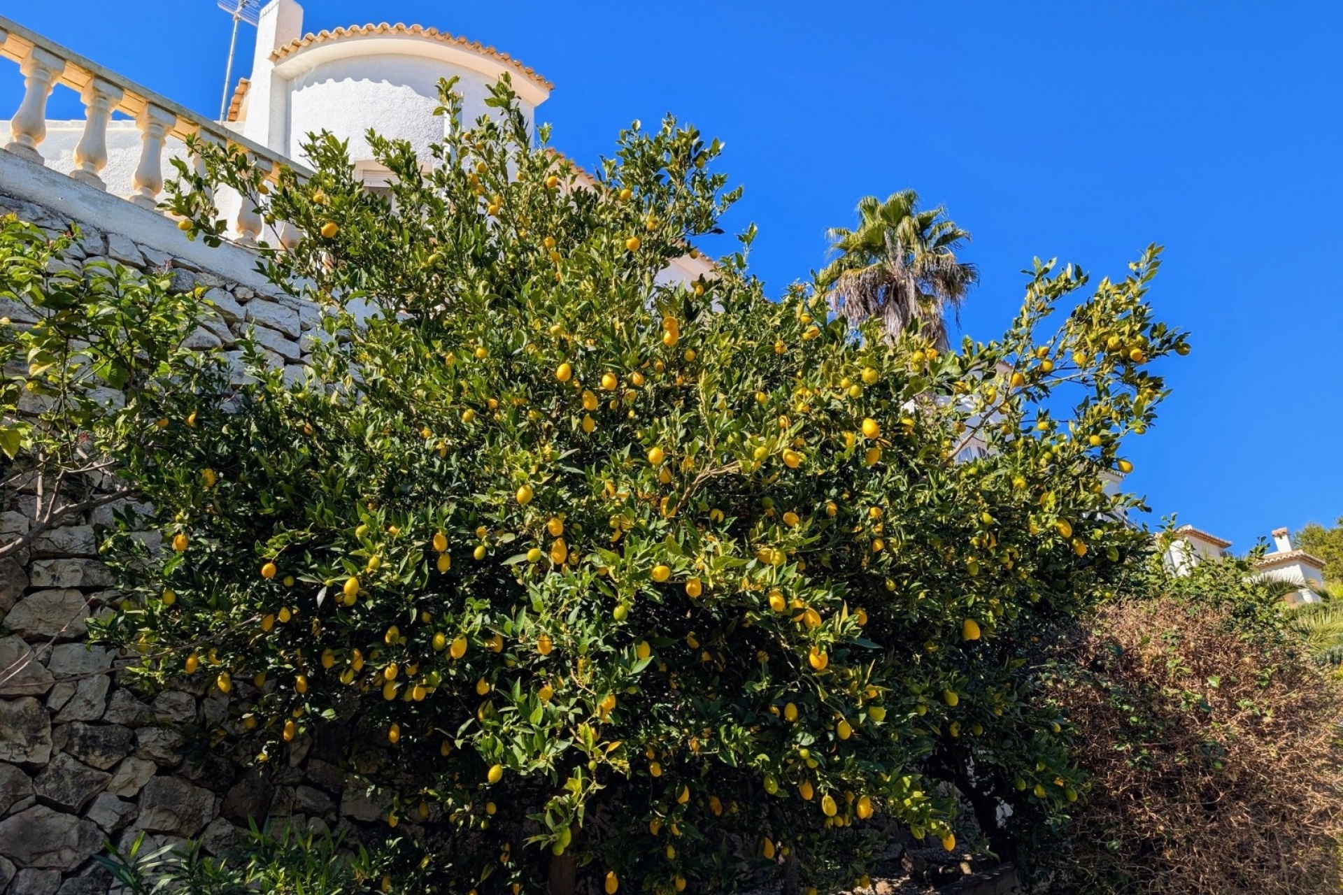 Reventes - Villas - Benissa - Fanadix