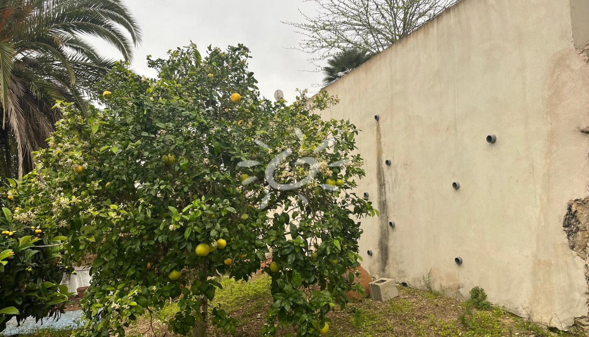 Reventes - Villas - Jávea / Xàbia - Cap Martí - El Tossalet - Pinomar