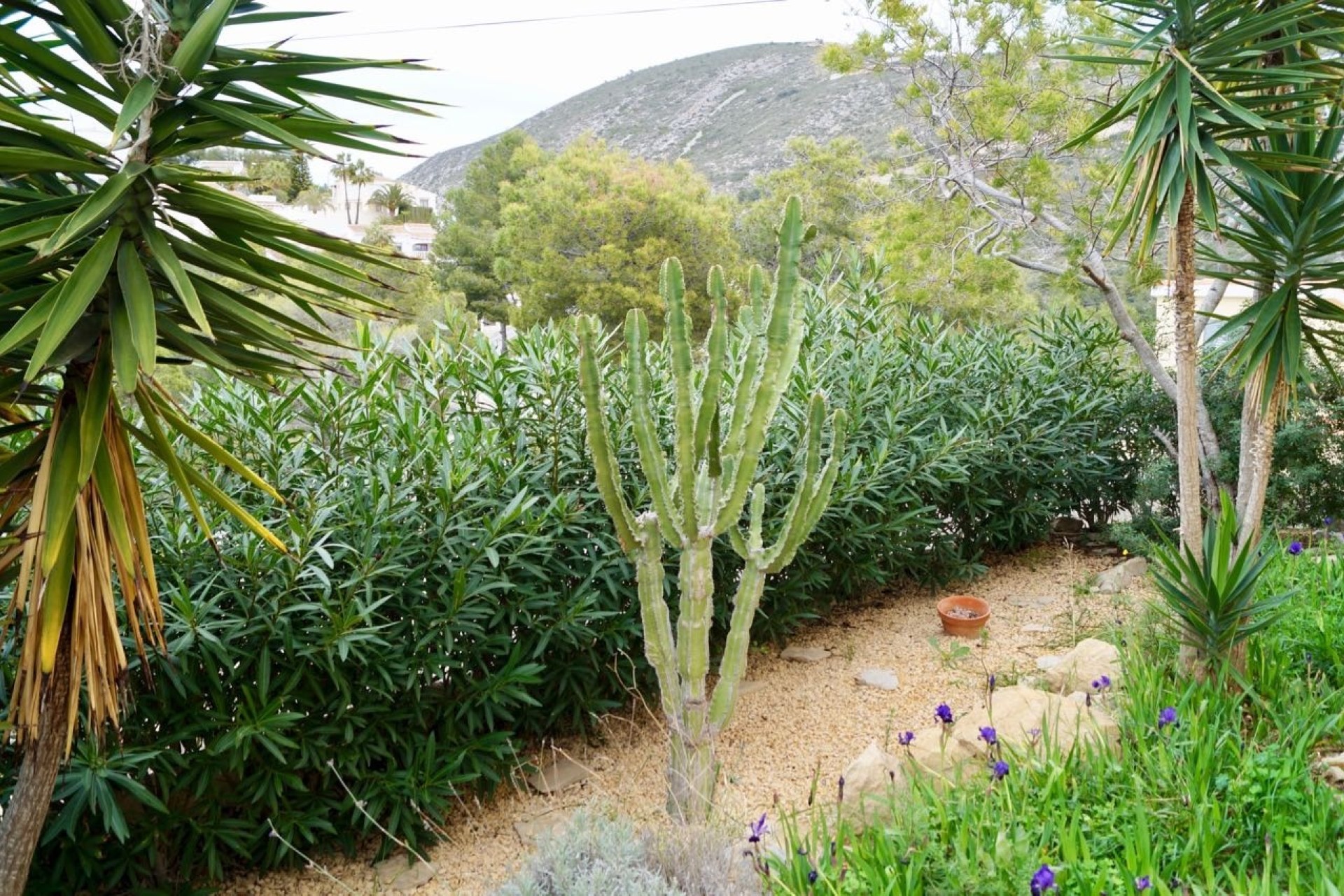 Reventes - Villas - Moraira - Golden Valley