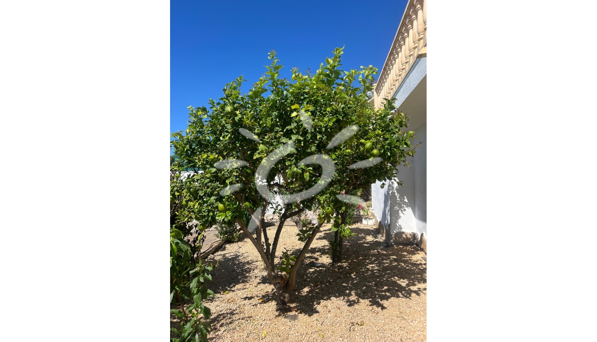 Reventes - Villas - Moraira - Pinar del Advocat - Cometa