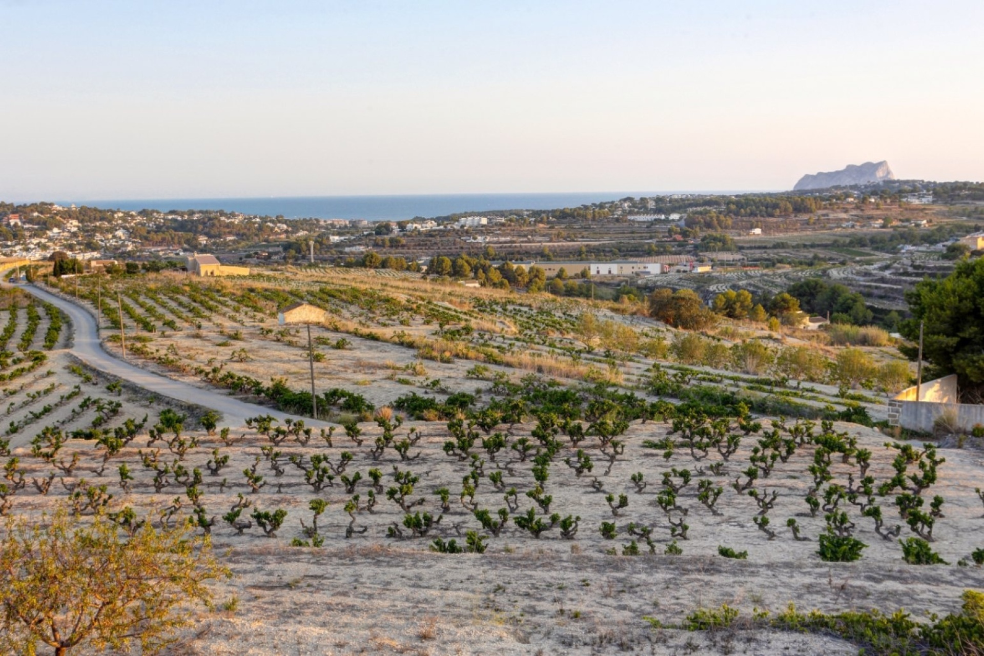 Reventes - Maisons de Campagne - Fincas - Moraira - campo