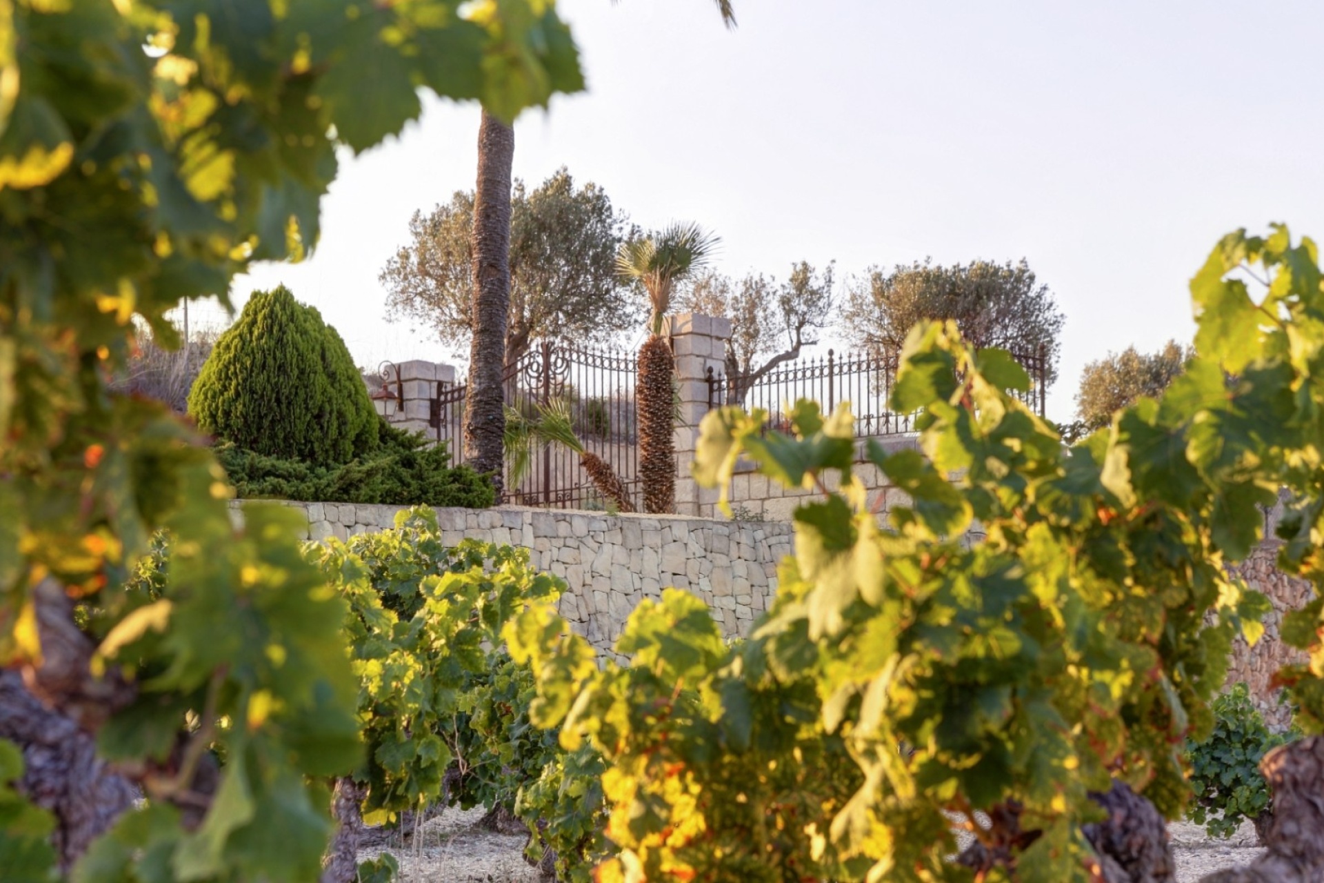 Reventes - Maisons de Campagne - Fincas - Moraira - campo