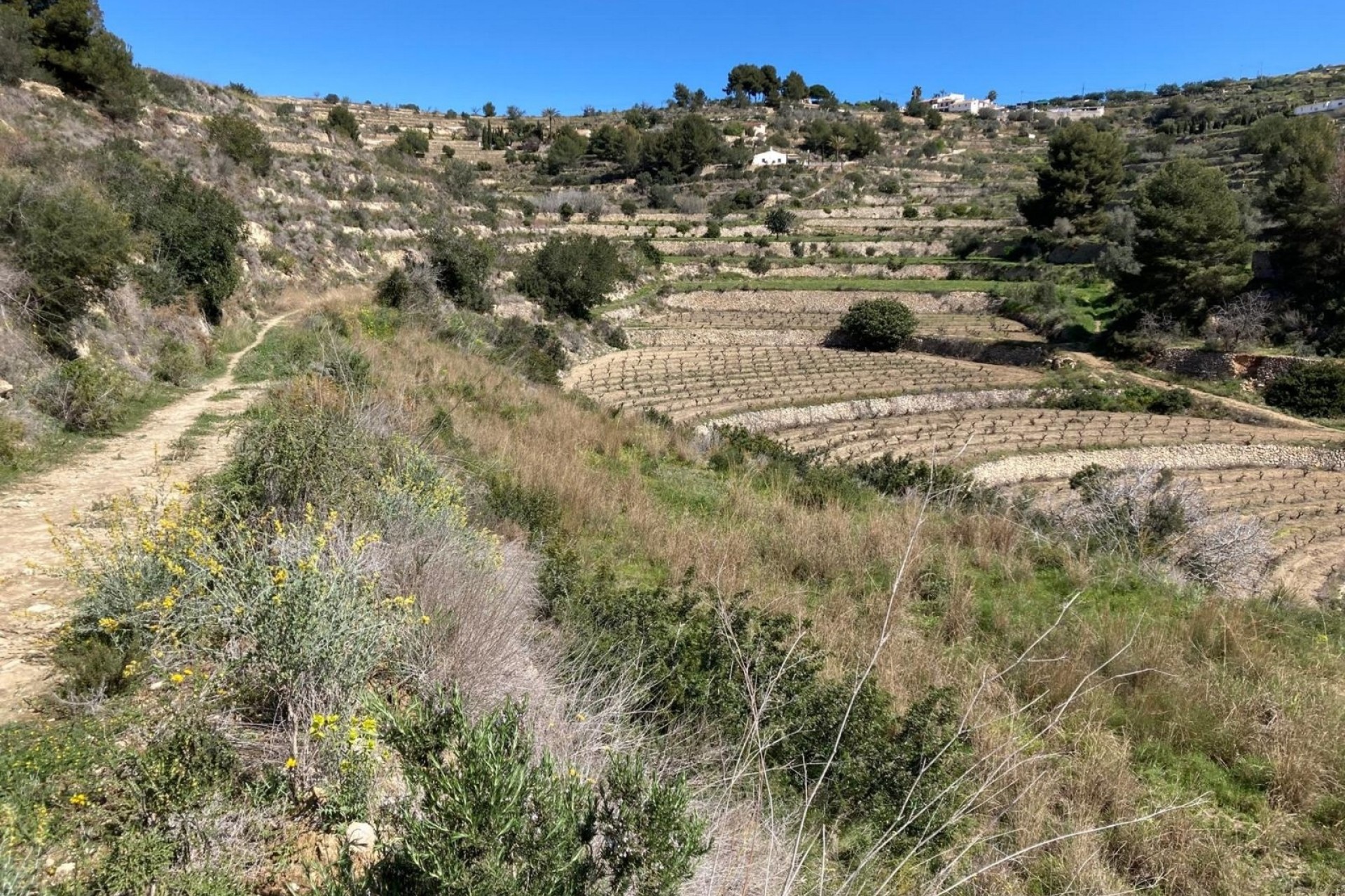 Reventes - Propriétés et Terrains constructibles - Benissa - Partida Biasner