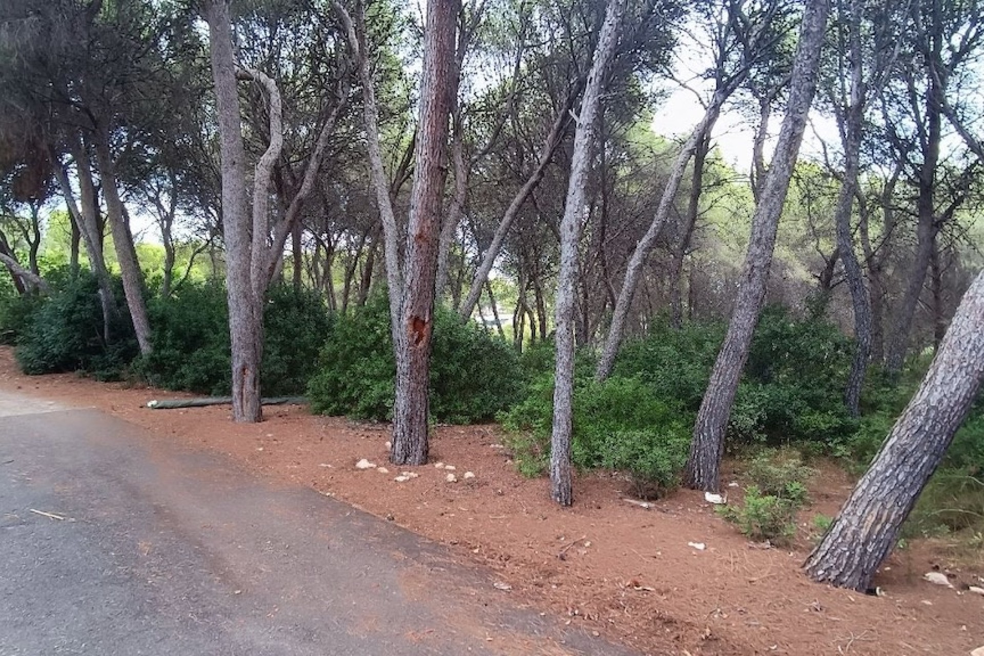 Reventes - Propriétés et Terrains constructibles - Moraira - La Cometa