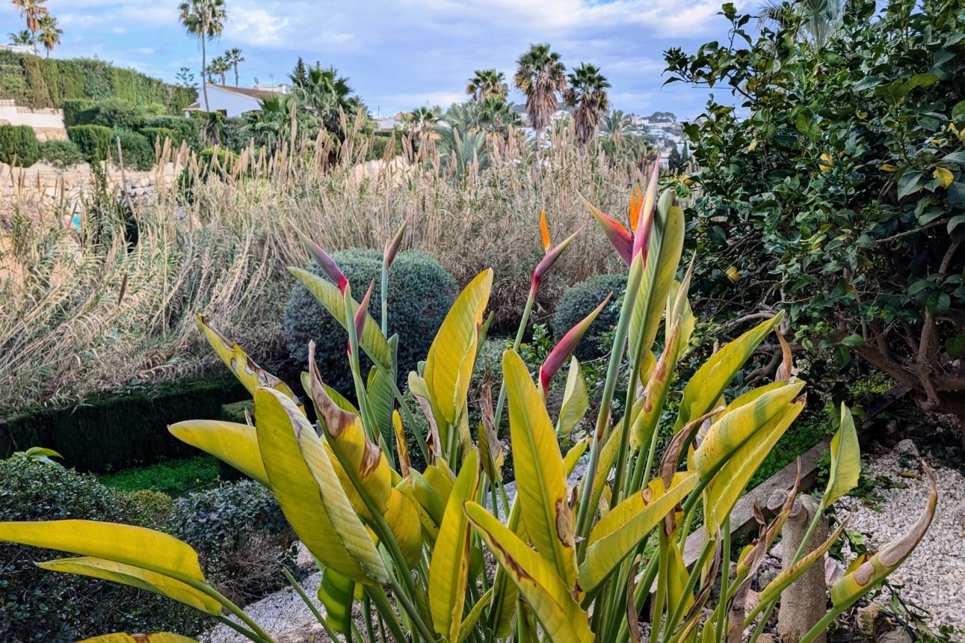 Reventes - Villas - Benissa - Fanadix