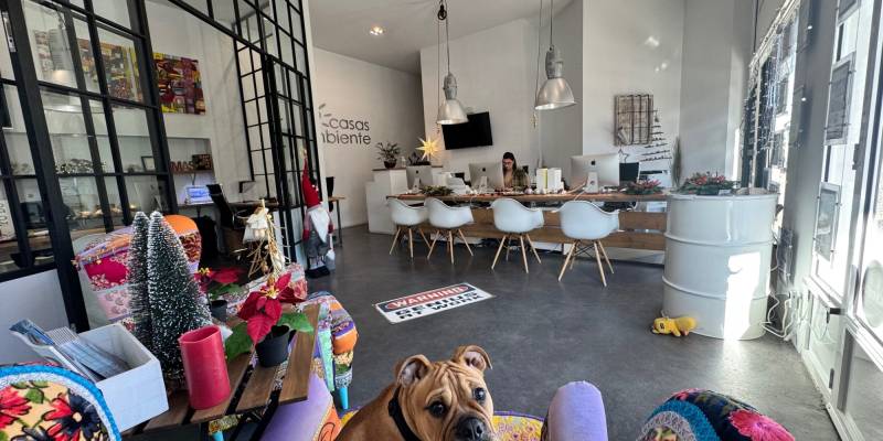 Experience the magic of Christmas on the Costa Blanca with our estate agents in Moraira