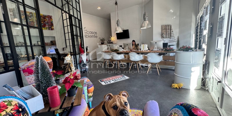 Experience the magic of Christmas on the Costa Blanca with our estate agents in Moraira