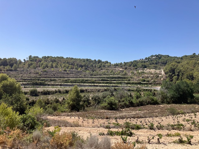 Terreno en Teulada