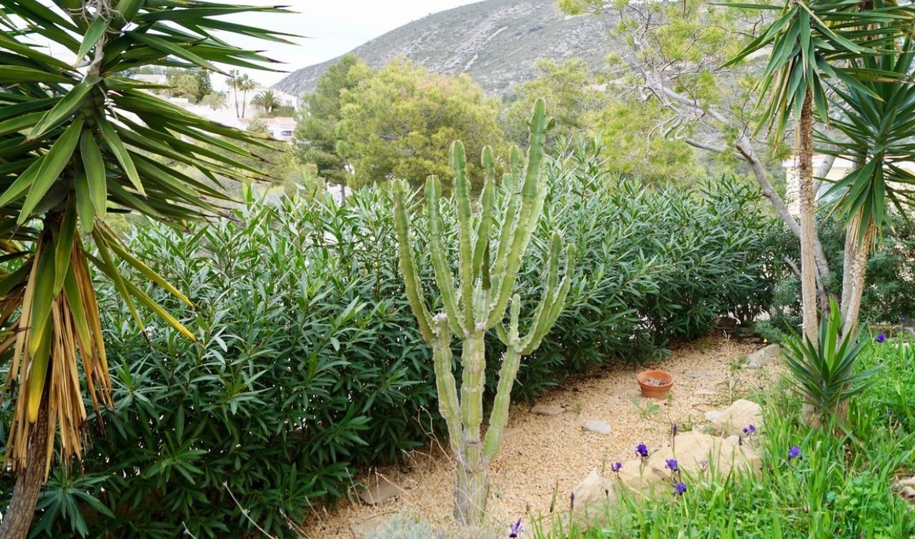 Resales - Villas - Moraira - Golden Valley