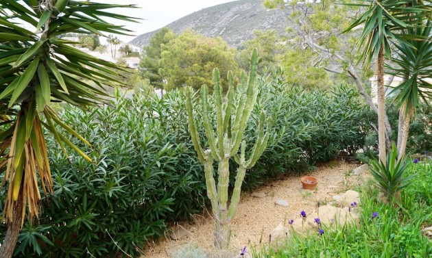 Resales - Villas - Moraira - Golden Valley