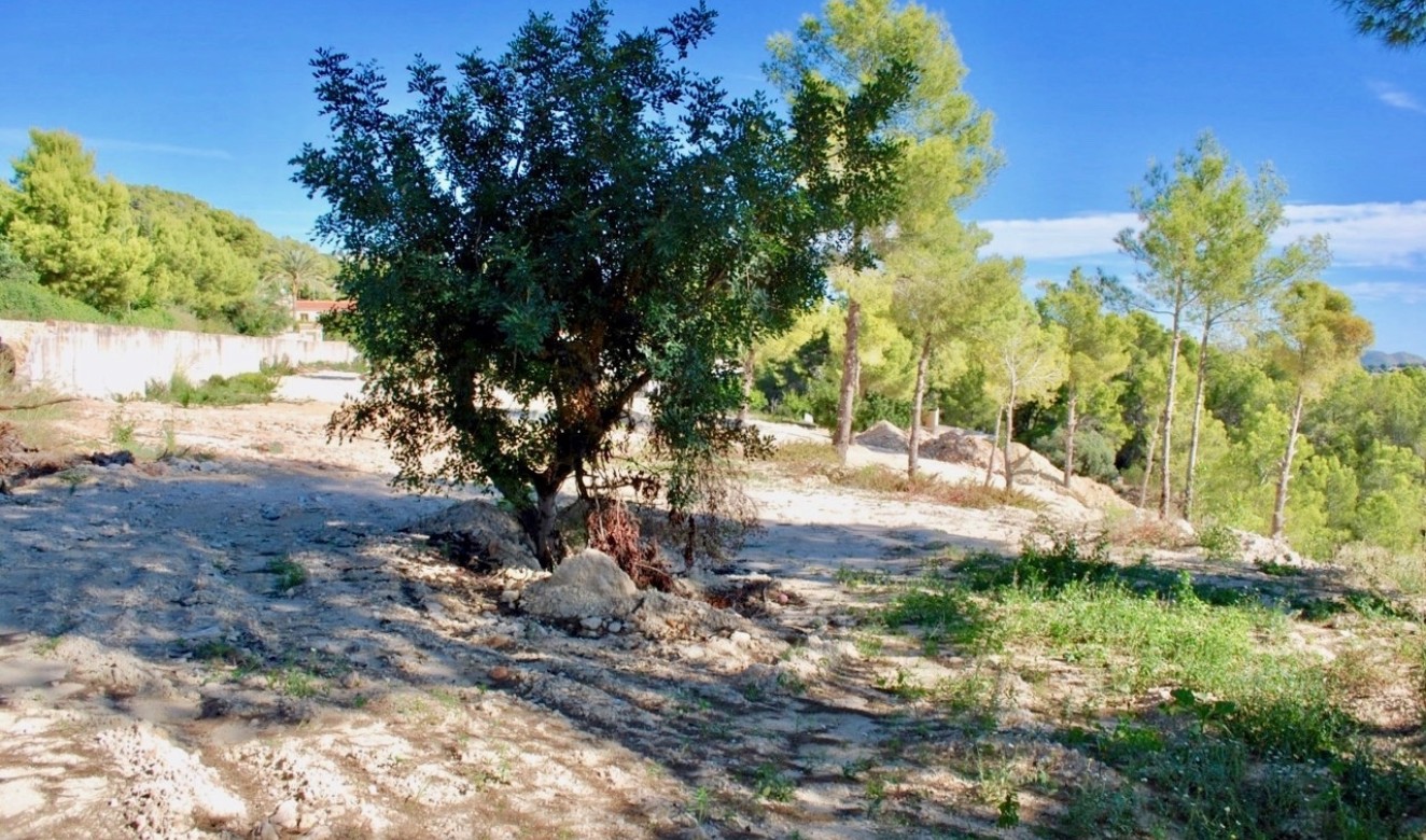 Nieuwe Constructies - Villas - Benissa - Fanadix