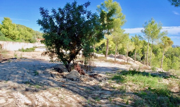 Nieuwe Constructies - Villas - Benissa - Fanadix