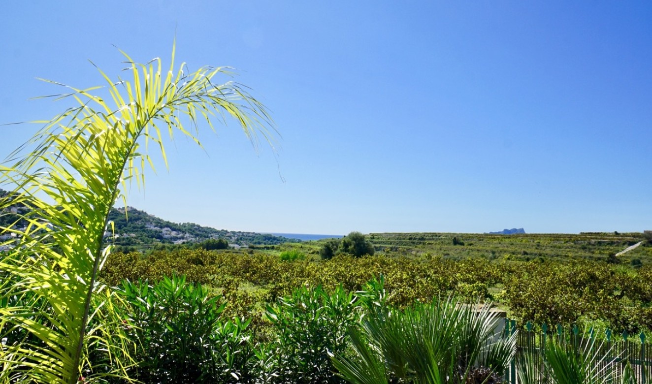 Reventas - Fincas - Casitas de Campo - Teulada - campo