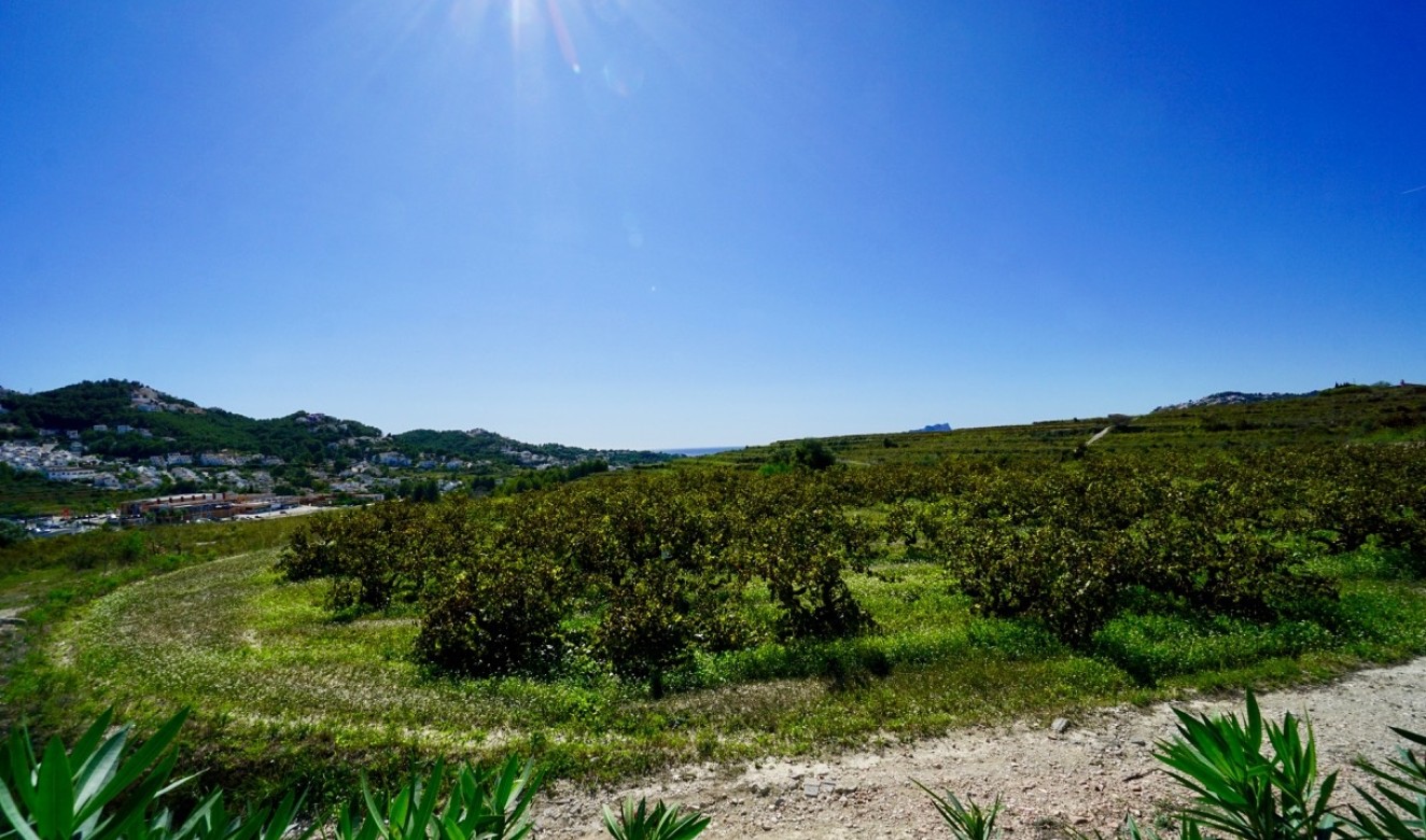 Reventas - Fincas - Casitas de Campo - Teulada - campo