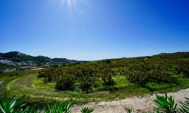 Reventas - Fincas - Casitas de Campo - Teulada - campo