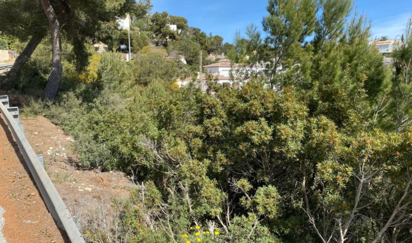 Bestaande woningen - Percelen - Javea