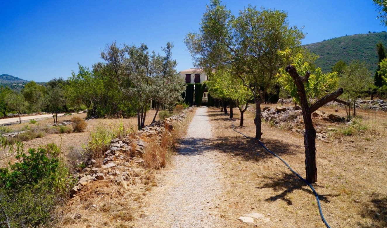 Reventes - Maisons de Campagne - Fincas - Lliber - Vallée du Lliber
