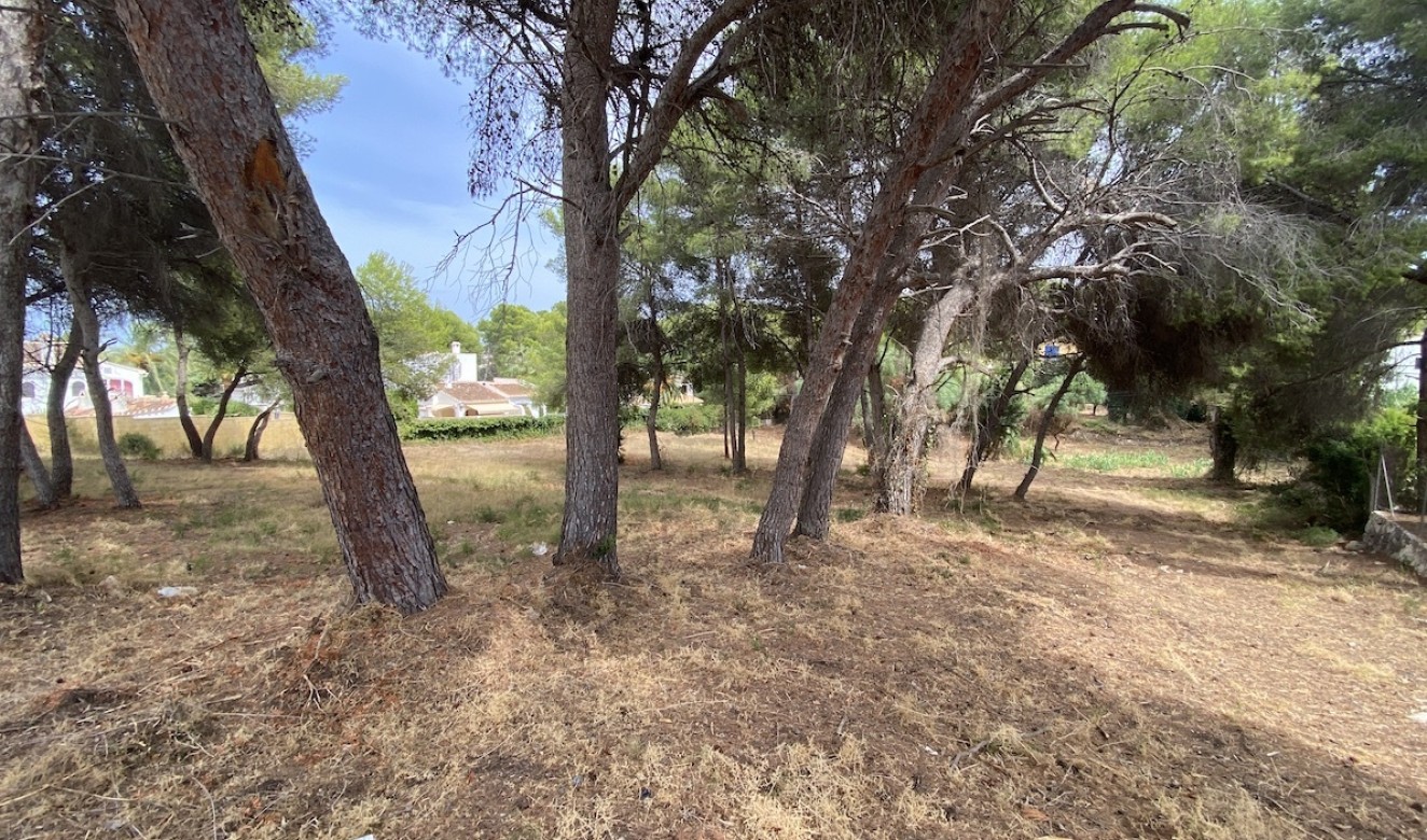 Reventes - Propriétés et Terrains constructibles - Javea