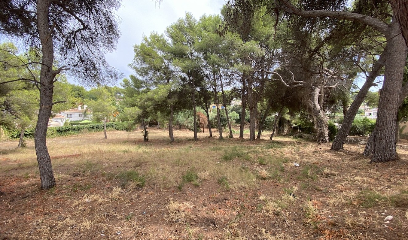 Reventes - Propriétés et Terrains constructibles - Javea