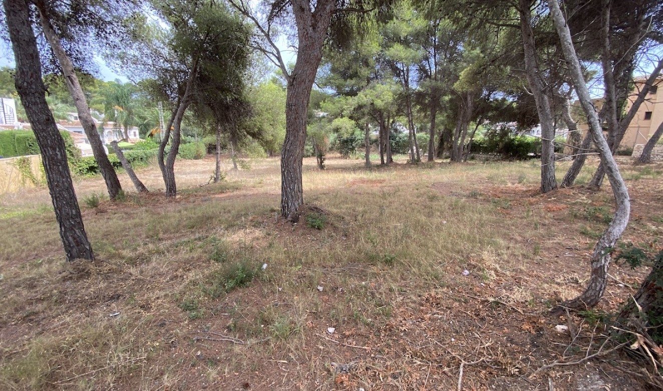 Reventes - Propriétés et Terrains constructibles - Javea