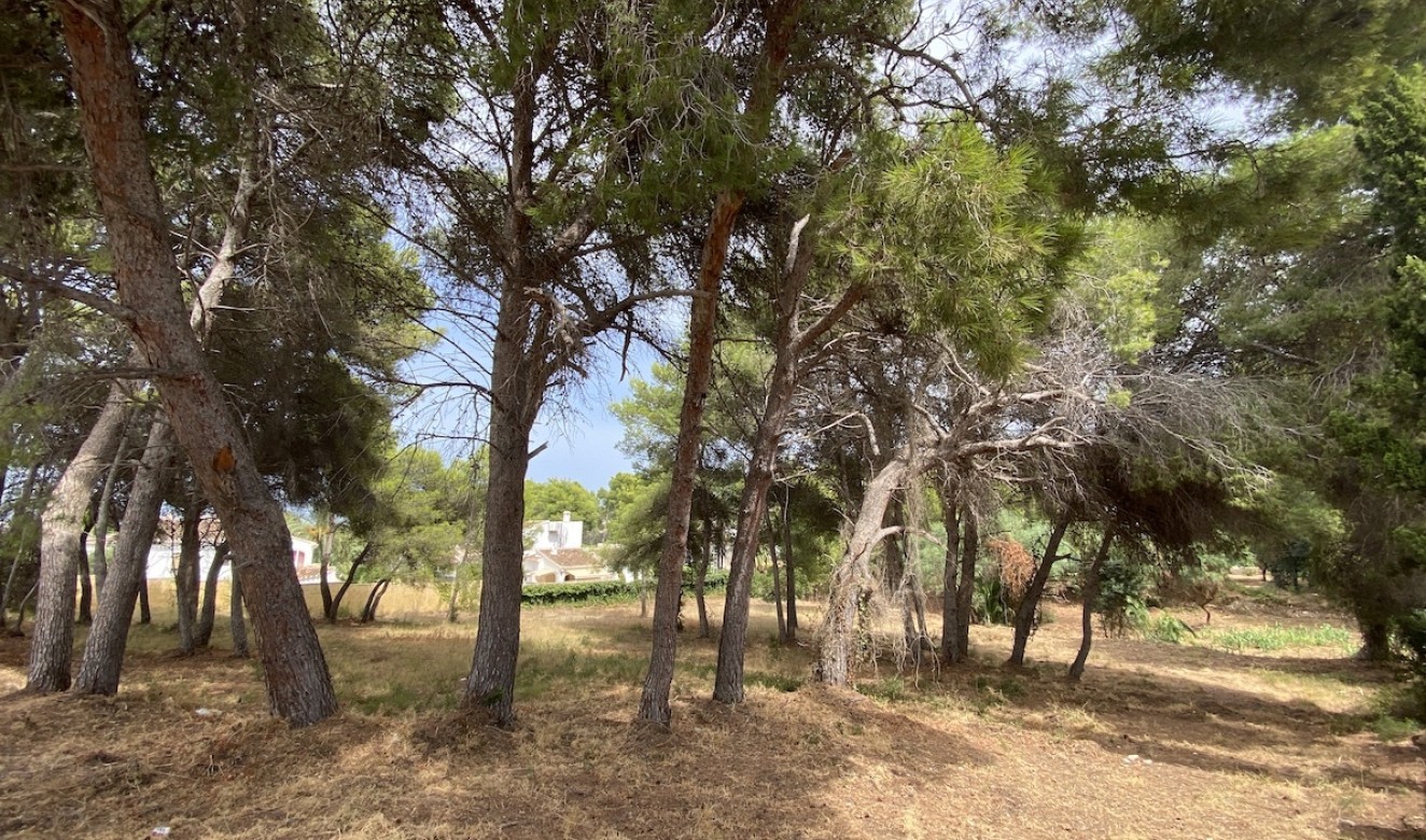 Reventes - Propriétés et Terrains constructibles - Javea