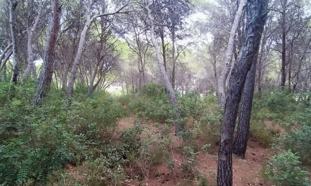 Resales - Plots of Land - Moraira - La Cometa