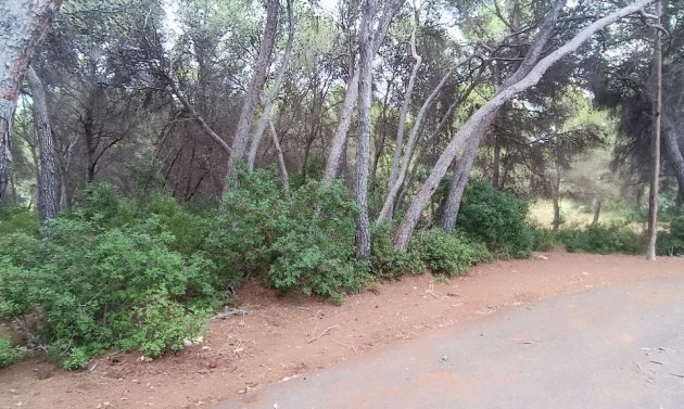 Resales - Plots of Land - Moraira - La Cometa