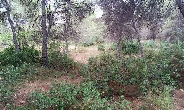 Resales - Plots of Land - Moraira - La Cometa