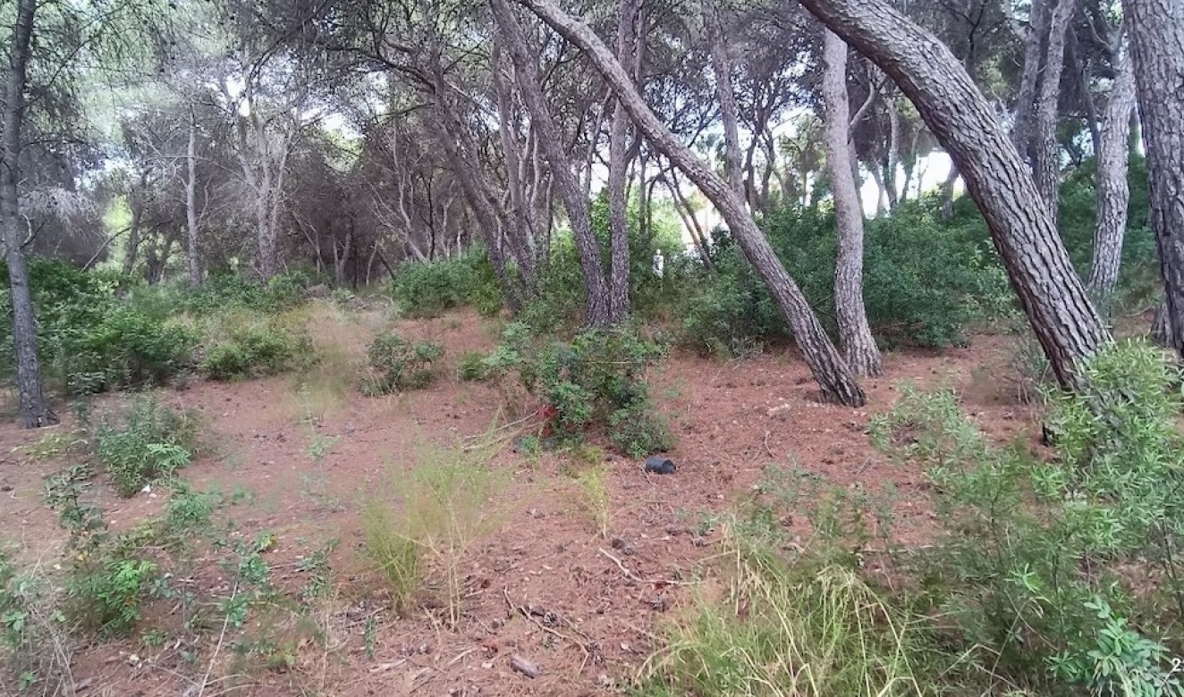 Resales - Plots of Land - Moraira - La Cometa