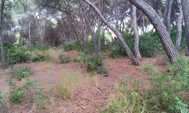 Resales - Plots of Land - Moraira - La Cometa