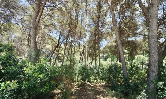 Resales - Plots of Land - Moraira - La Cometa