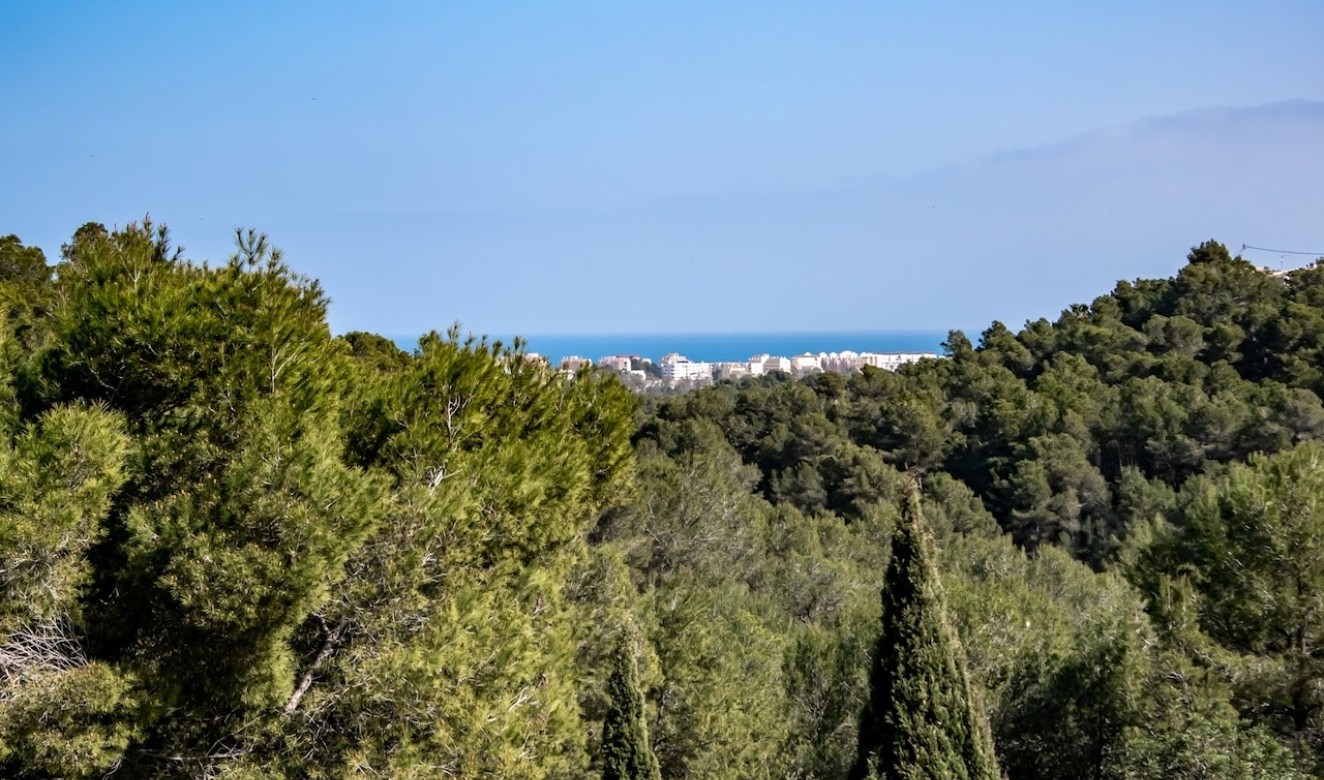 New Builds - Villas - Javea - Tosalet