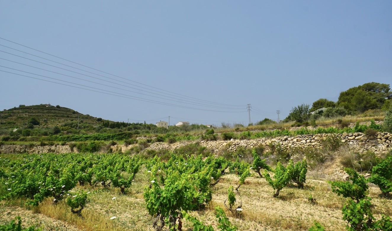 Reventas - Parcelas y Terrenos - Benitachell - Raco de Nadal