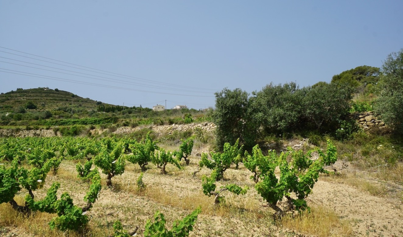 Reventas - Parcelas y Terrenos - Benitachell - Raco de Nadal