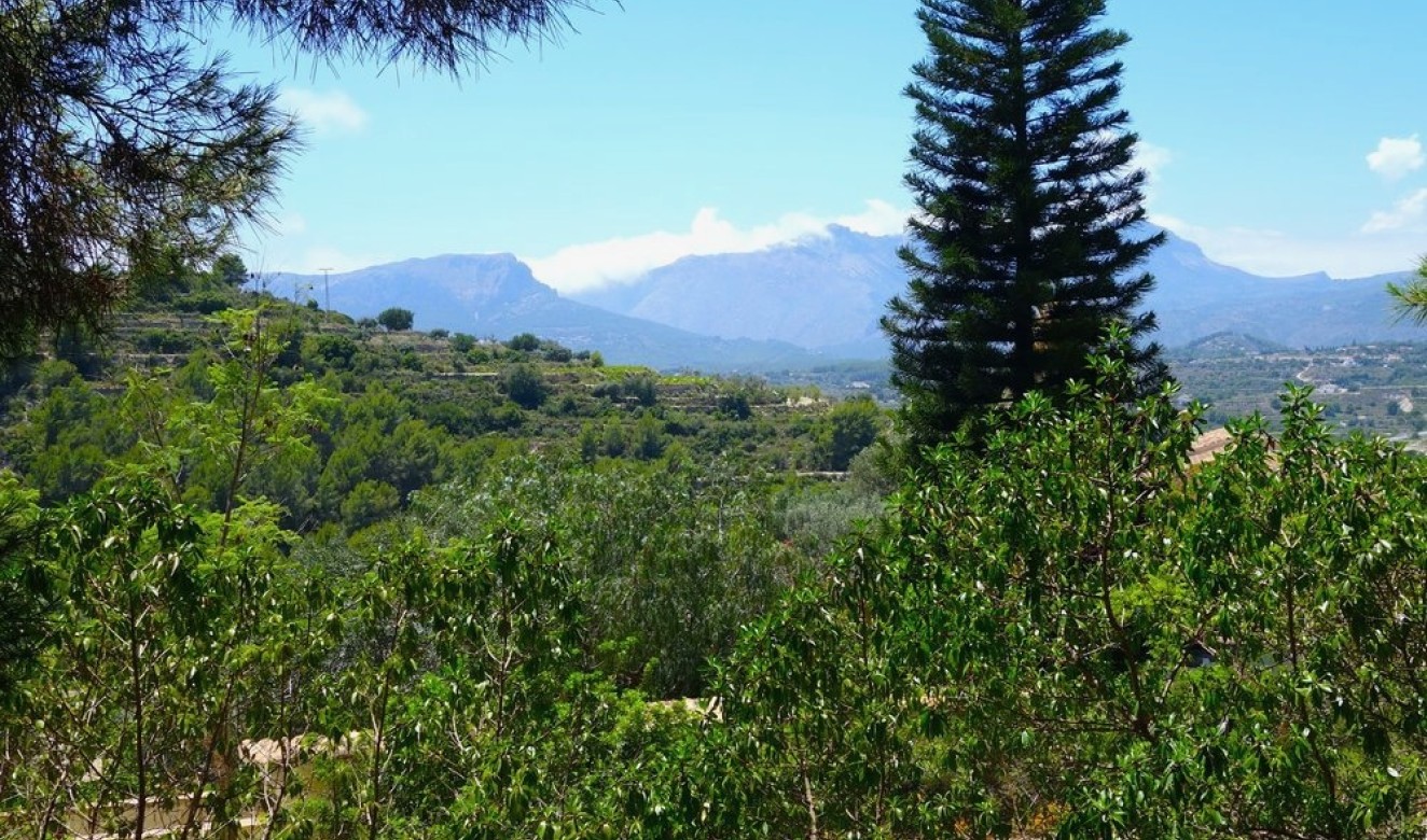 Reventes - Maisons de Campagne - Fincas - Benissa - Partida Llenes