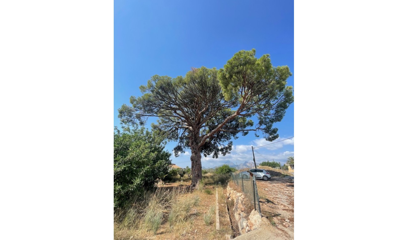 Resales - Plots of Land - Altea