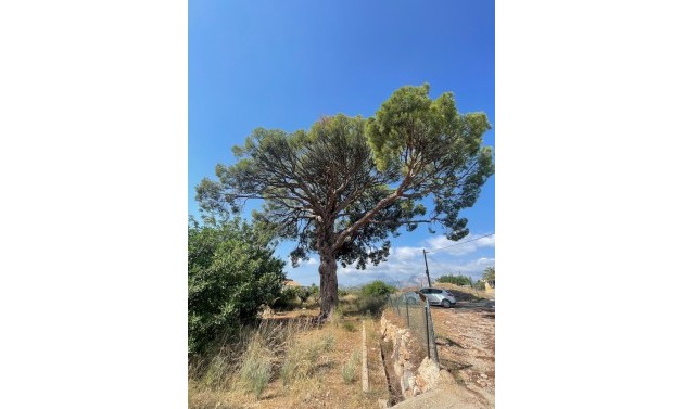 Resales - Plots of Land - Altea